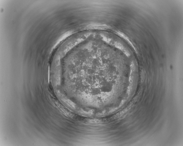 X0000087681219200705251635