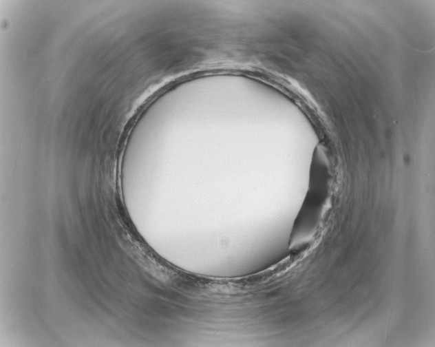 X0000087681220200705251635