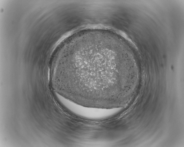 X0000087681221200705251635