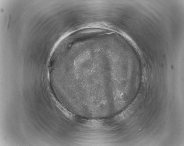 X0000087681224200705251635