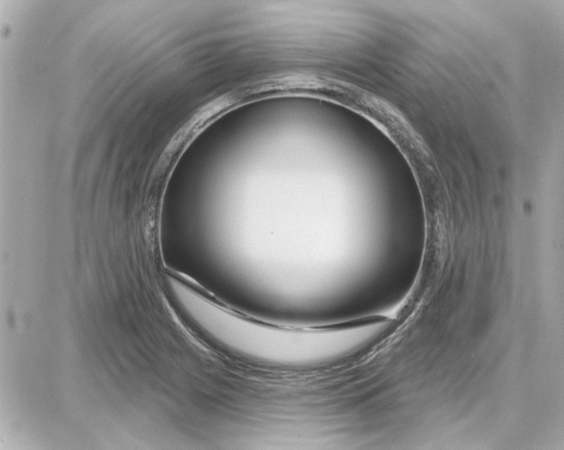 X0000087681225200705251635