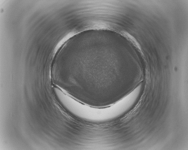 X0000087681226200705251635