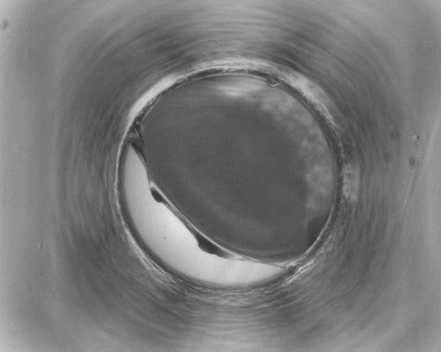 X0000087681229200705251635