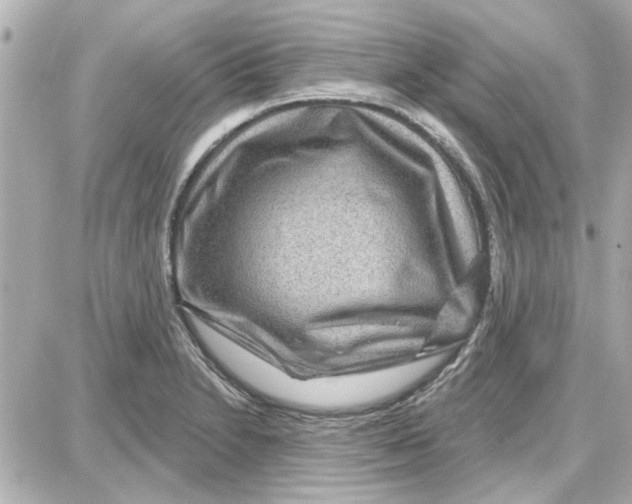 X0000087681230200705251635