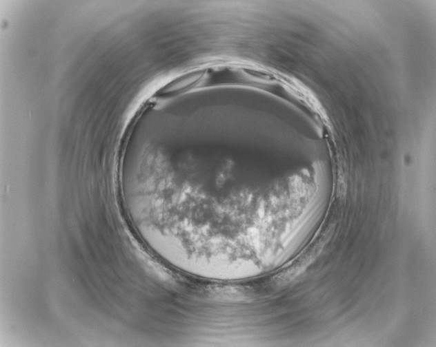 X0000087681231200705251636