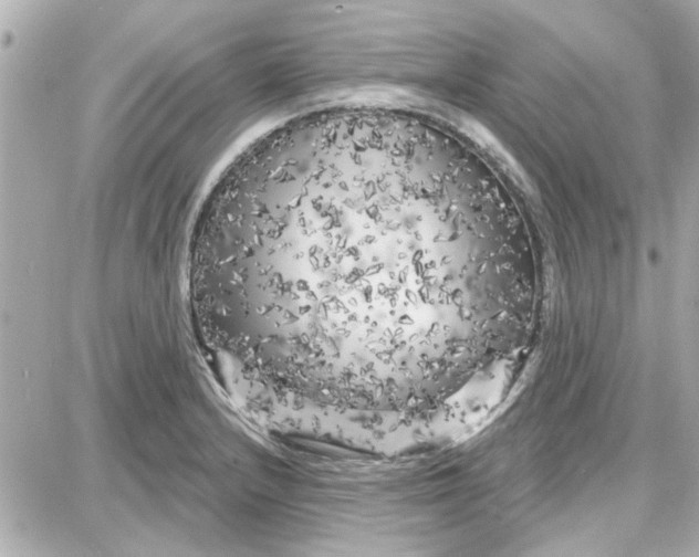 X0000087681232200705251636