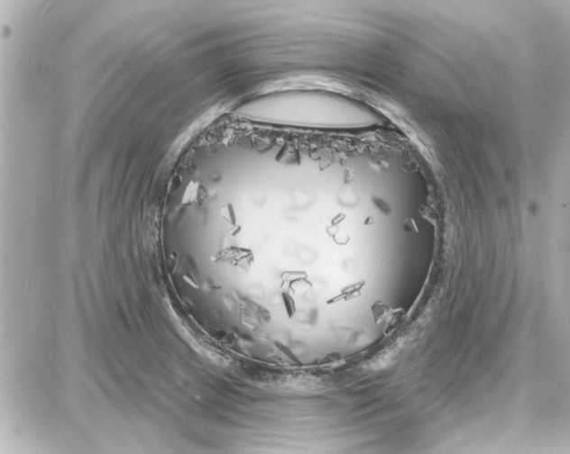 X0000087681233200705251636