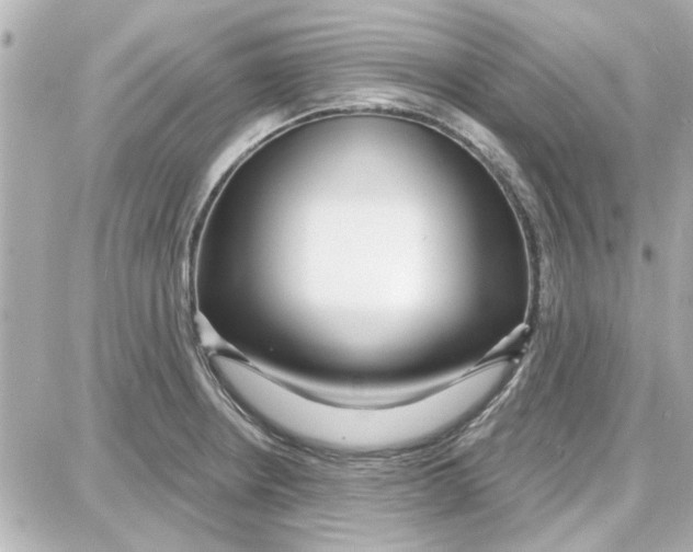 X0000087681234200705251636