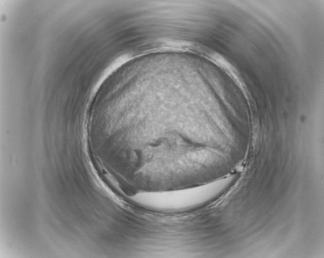 X0000087681235200705251636