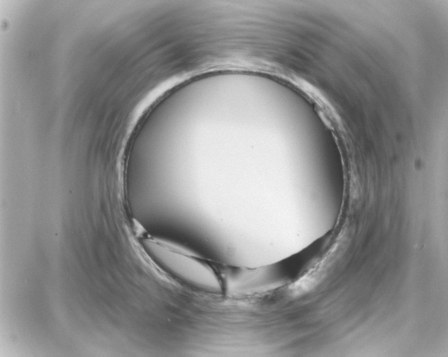 X0000087681238200705251636