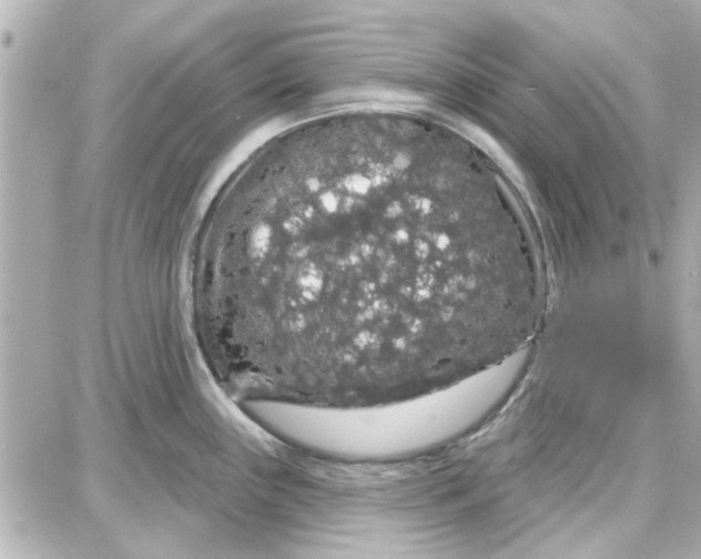 X0000087681243200705251636