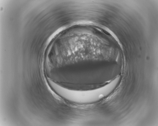 X0000087681245200705251636