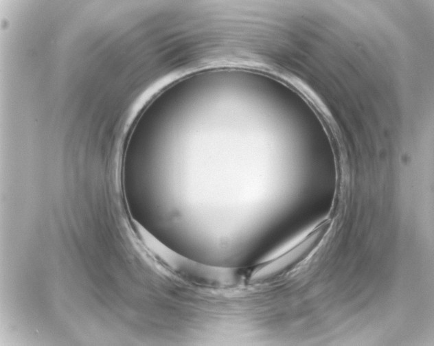 X0000087681246200705251636