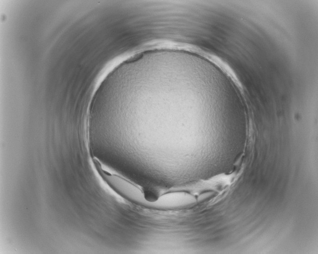 X0000087681247200705251636