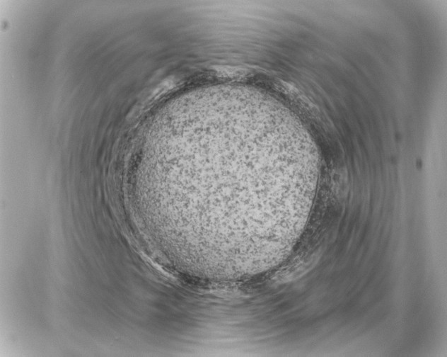 X0000087681249200705251635