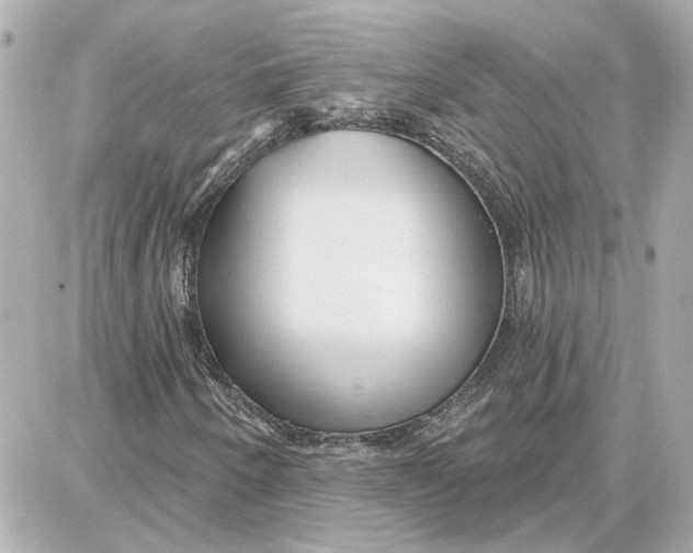 X0000087681250200705251635