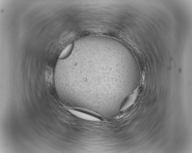 X0000087681251200705251635