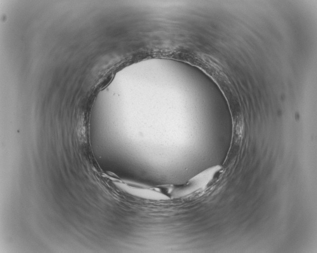 X0000087681252200705251635