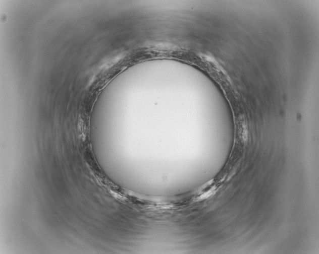 X0000087681253200705251635