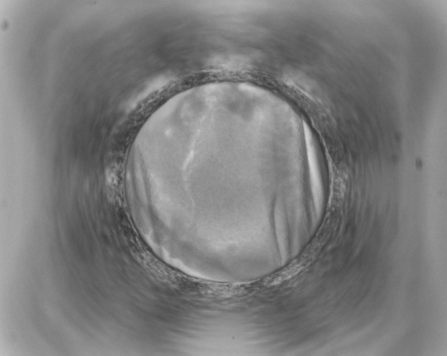 X0000087681254200705251635