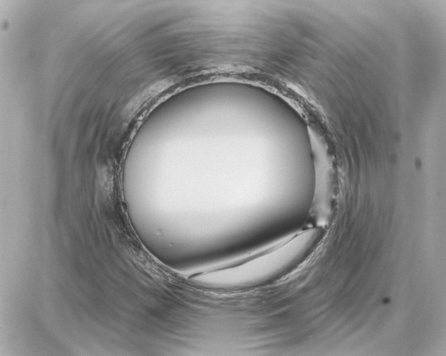 X0000087681257200705251635