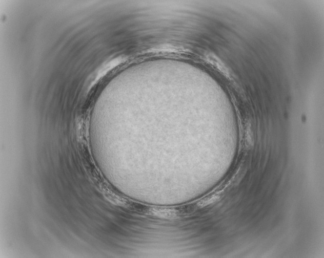 X0000087681258200705251635