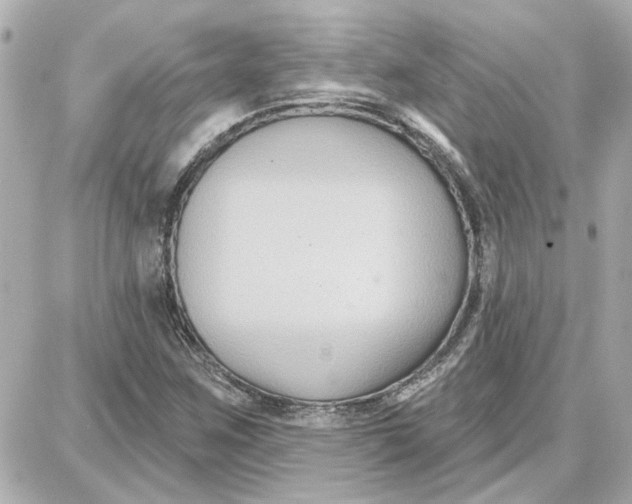 X0000087681259200705251635