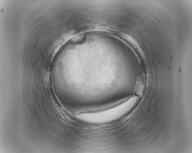 X0000087681260200705251635