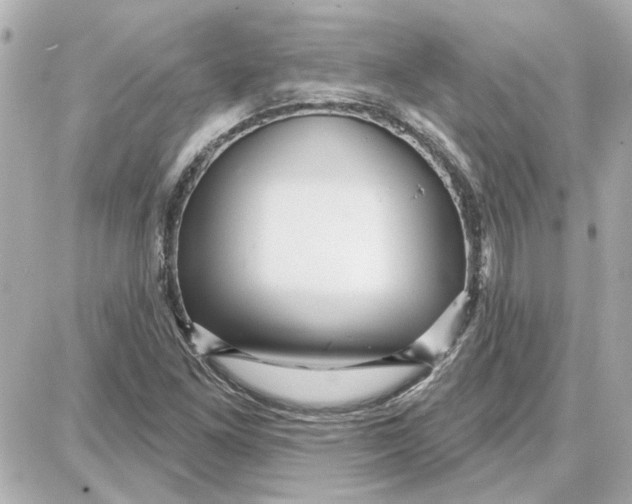 X0000087681261200705251635