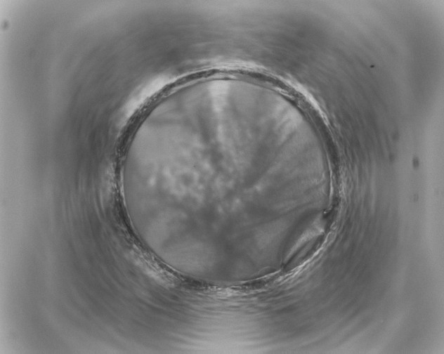 X0000087681263200705251635