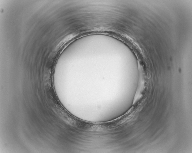 X0000087681265200705251635