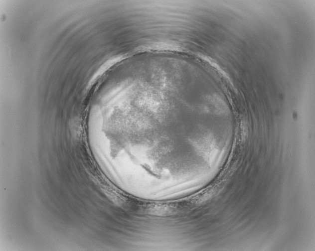 X0000087681266200705251635