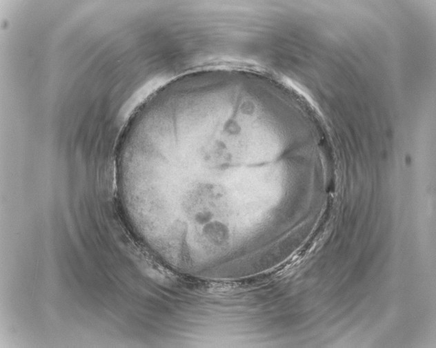 X0000087681267200705251635