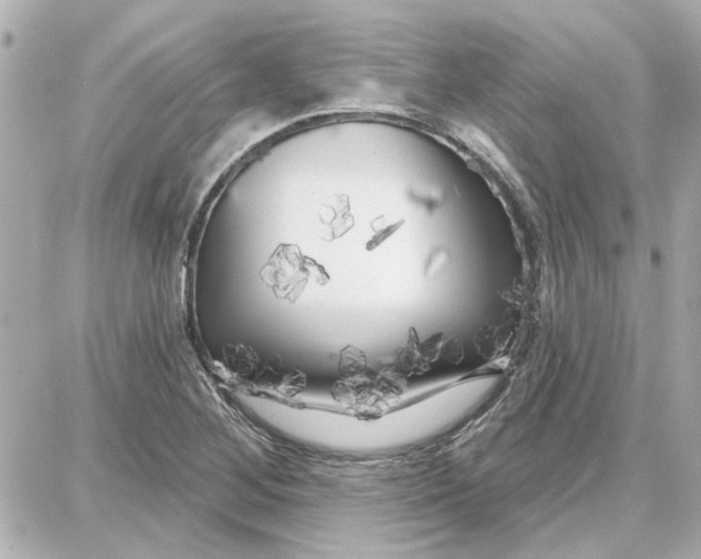 X0000087681268200705251635