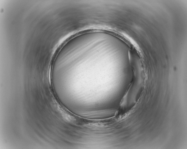 X0000087681272200705251635