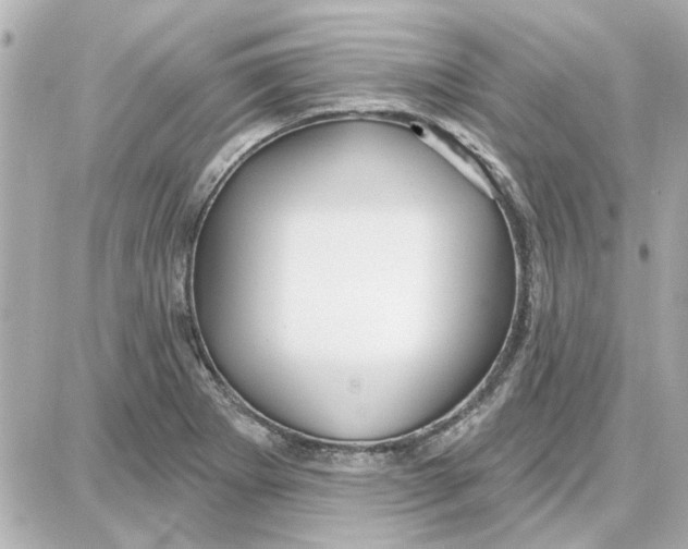 X0000087681273200705251635