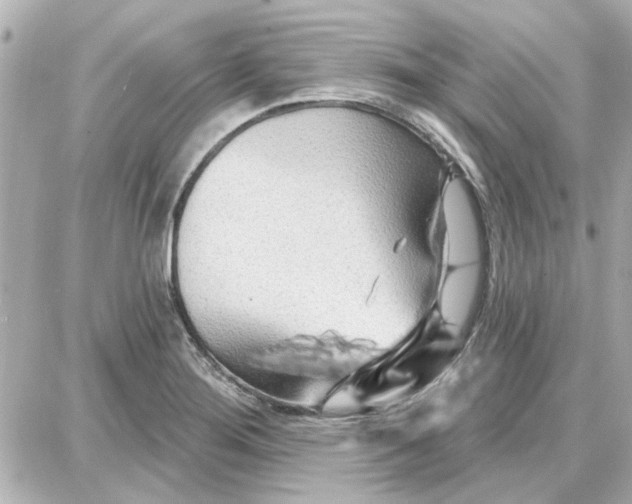 X0000087681276200705251635