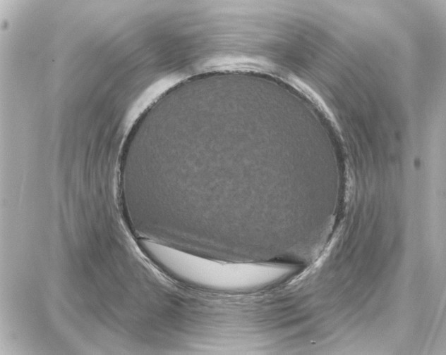 X0000087681277200705251635