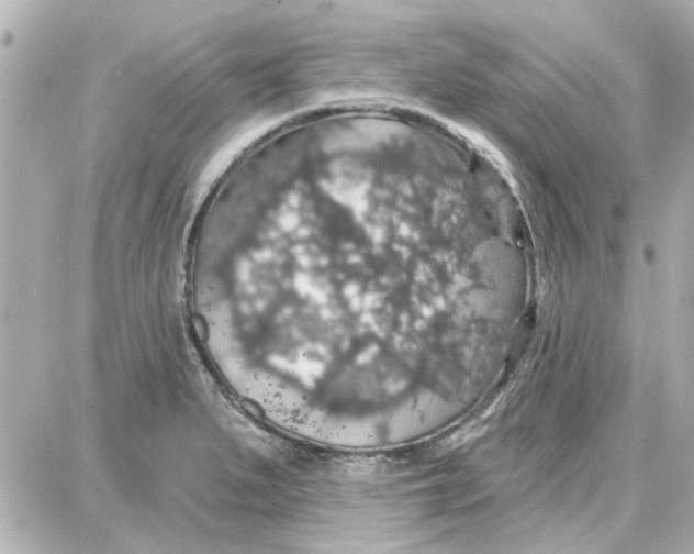 X0000087681279200705251635