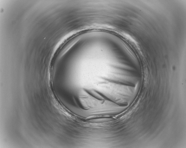 X0000087681280200705251635