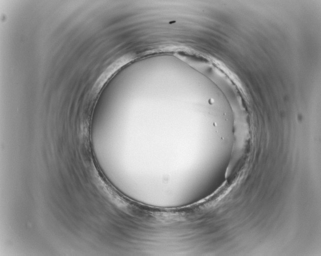 X0000087681281200705251634