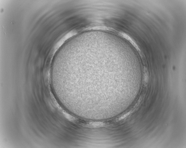 X0000087681282200705251634