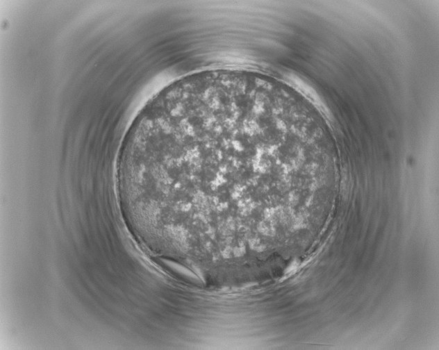 X0000087681283200705251634