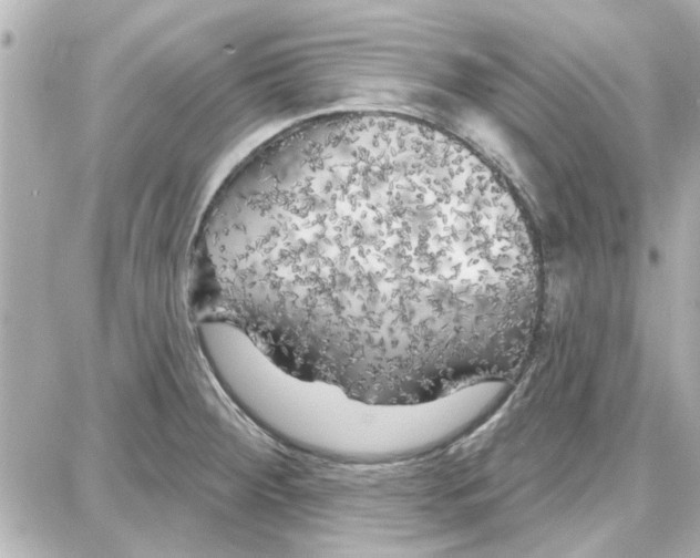 X0000087681284200705251634