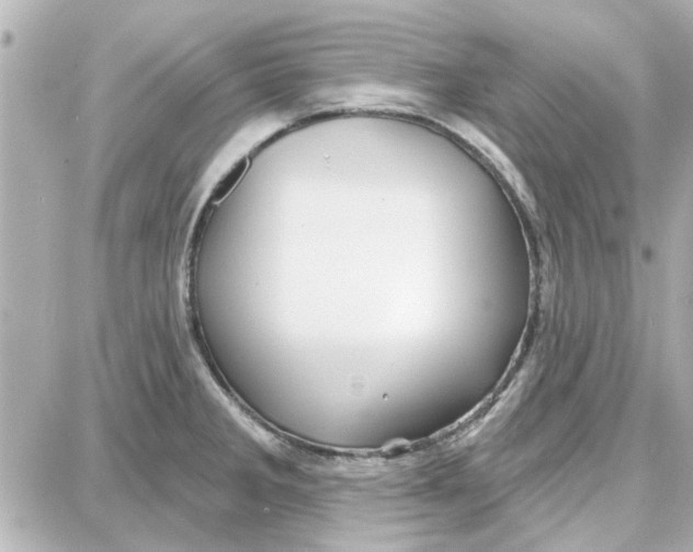 X0000087681285200705251634