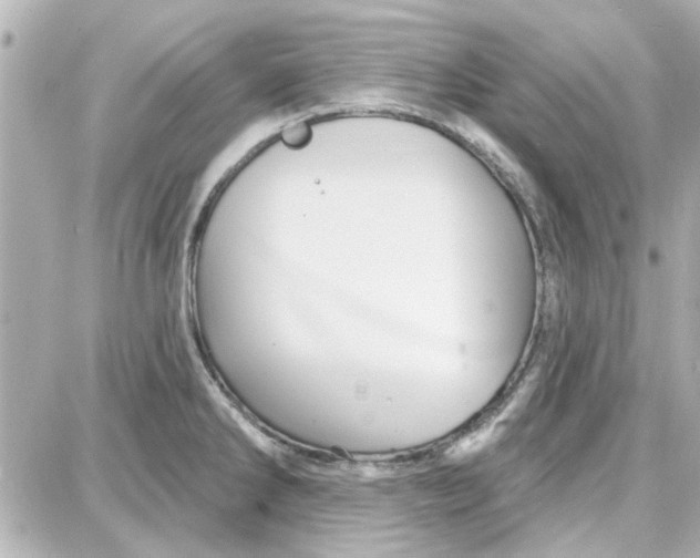 X0000087681286200705251634