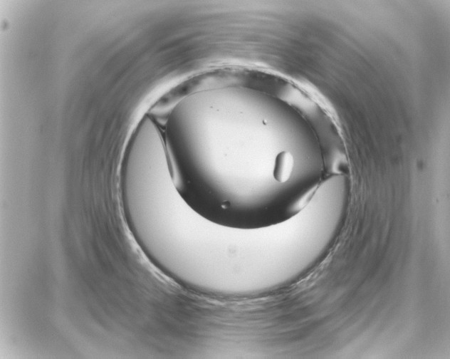 X0000087681287200705251634