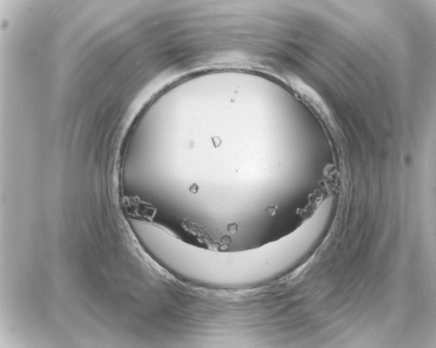 X0000087681288200705251634