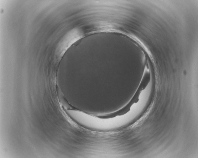 X0000087681289200705251634