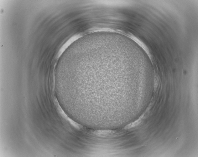 X0000087681290200705251634